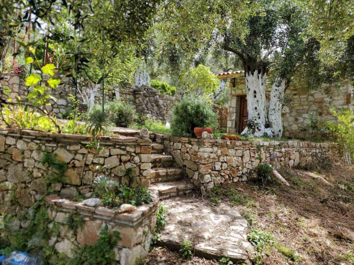 Filoxenia - The Place Of Experience Χειμάρρα Εξωτερικό φωτογραφία