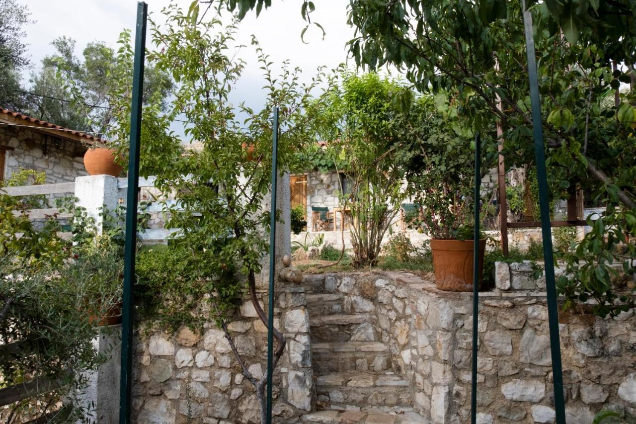 Filoxenia - The Place Of Experience Χειμάρρα Εξωτερικό φωτογραφία