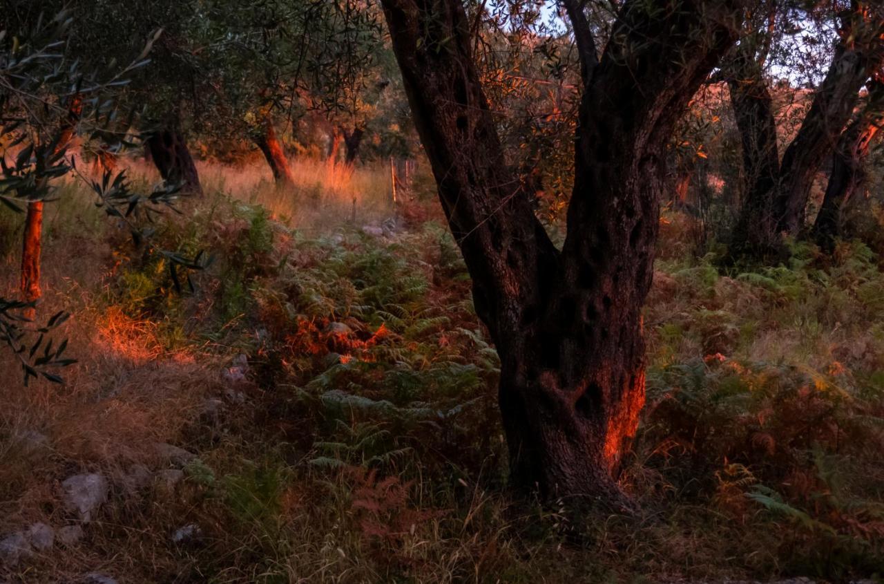 Filoxenia - The Place Of Experience Χειμάρρα Εξωτερικό φωτογραφία