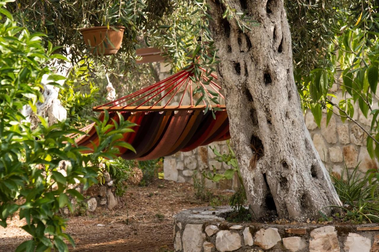 Filoxenia - The Place Of Experience Χειμάρρα Εξωτερικό φωτογραφία