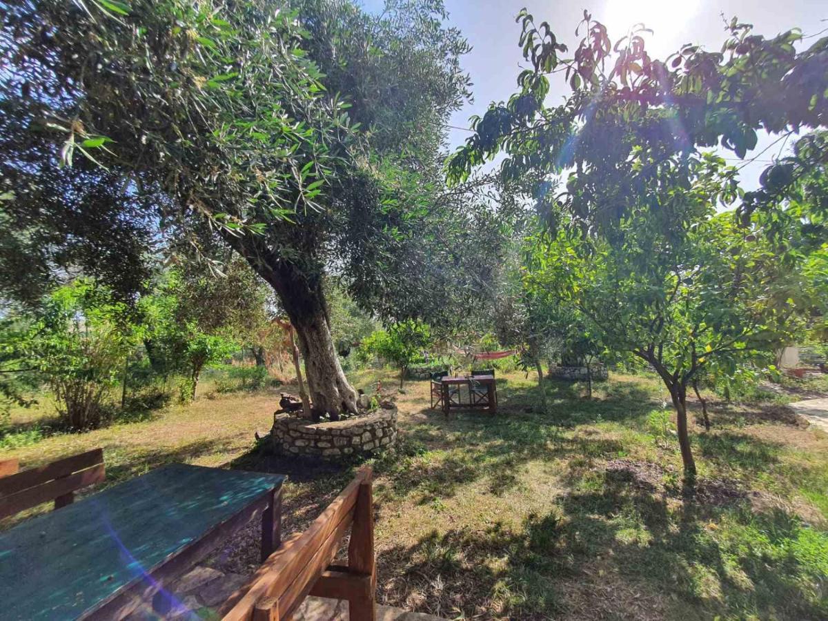 Filoxenia - The Place Of Experience Χειμάρρα Εξωτερικό φωτογραφία