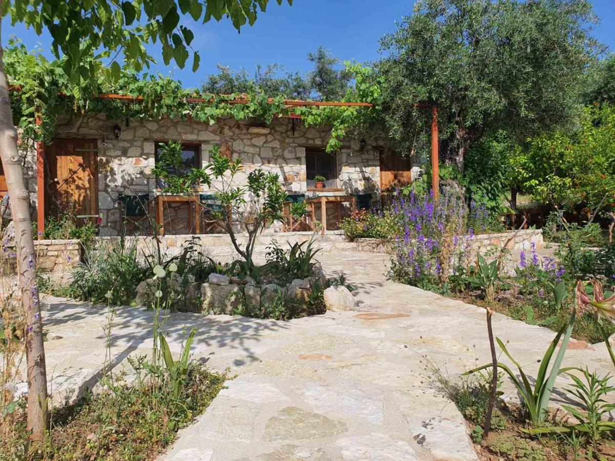 Filoxenia - The Place Of Experience Χειμάρρα Εξωτερικό φωτογραφία