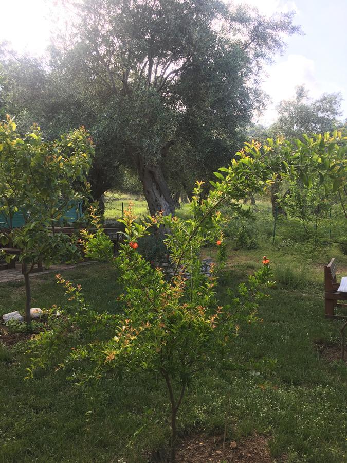 Filoxenia - The Place Of Experience Χειμάρρα Εξωτερικό φωτογραφία