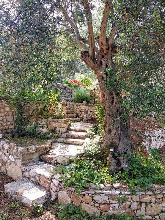 Filoxenia - The Place Of Experience Χειμάρρα Εξωτερικό φωτογραφία